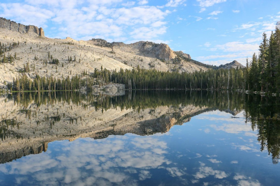 Yosemite Sounds Alarm As 2026 Fire Season Kicks Off Early