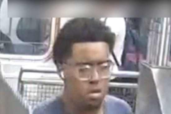 110th Street 6 Train Horror as Rider Sent Flying Onto Bench
