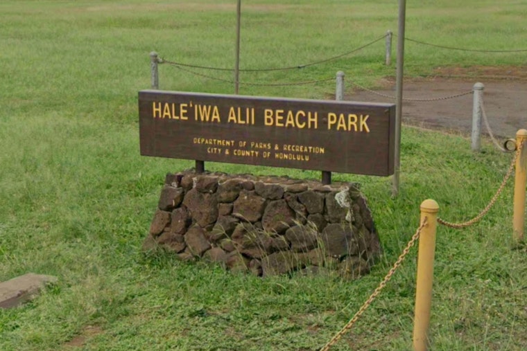 12-Foot Tiger Shark Halts Surf Session at Haleiwa Alii Beach