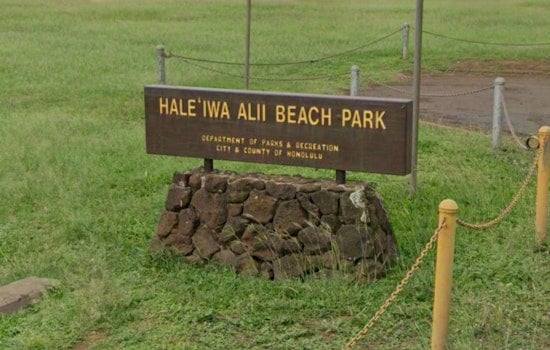 12-Foot Tiger Shark Halts Surf Session at Haleiwa Alii Beach