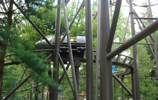 3 Rescued After Wild Mouse Stalls At Idlewild Park
