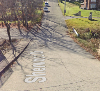 79-Year-Old Penn Hills Woman Mauled To Death In Home As Quiet Block Reels