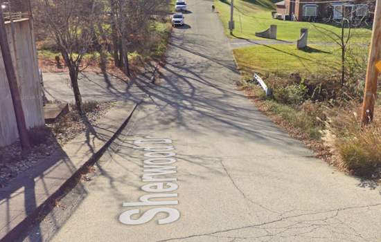 79-Year-Old Penn Hills Woman Mauled To Death In Home As Quiet Block Reels