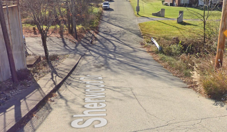 79-Year-Old Penn Hills Woman Mauled To Death In Home As Quiet Block Reels