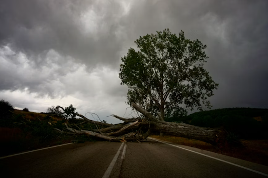 Lehighton Area Storm Topples Trees, Causes Major Outages