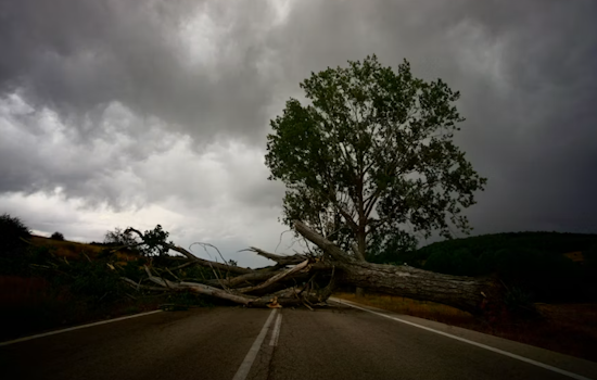 Lehighton Area Storm Topples Trees, Causes Major Outages