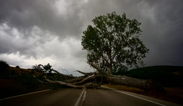 Lehighton Area Storm Topples Trees, Causes Major Outages