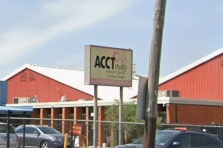 ACCT Philly At Capacity As Petflation Drives Surge