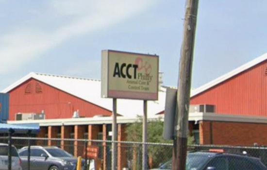 ACCT Philly At Capacity As Petflation Drives Surge