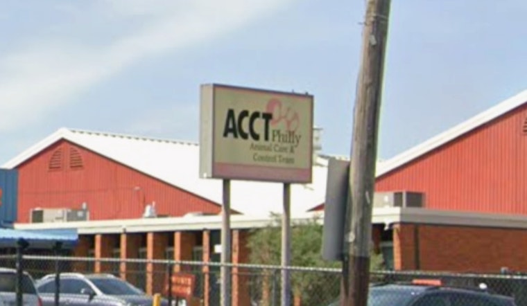 ACCT Philly At Capacity As Petflation Drives Surge