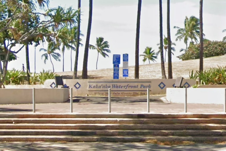 Aggressive Tiger Shark Triggers Flies Surf Scare Off Kakaako Waterfront