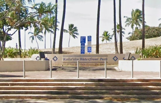 Aggressive Tiger Shark Triggers Flies Surf Scare Off Kakaako Waterfront