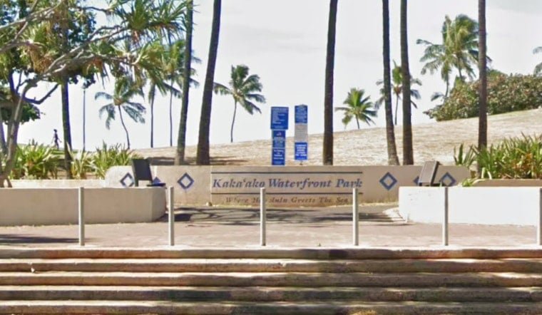 Aggressive Tiger Shark Triggers Flies Surf Scare Off Kakaako Waterfront