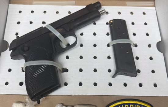 Alewife Bust: Somerville Man Hit With Gun, Drug Charges After $34 Shoplift Rap