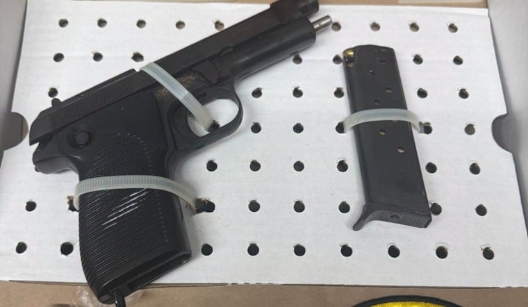 Alewife Bust: Somerville Man Hit With Gun, Drug Charges After $34 Shoplift Rap