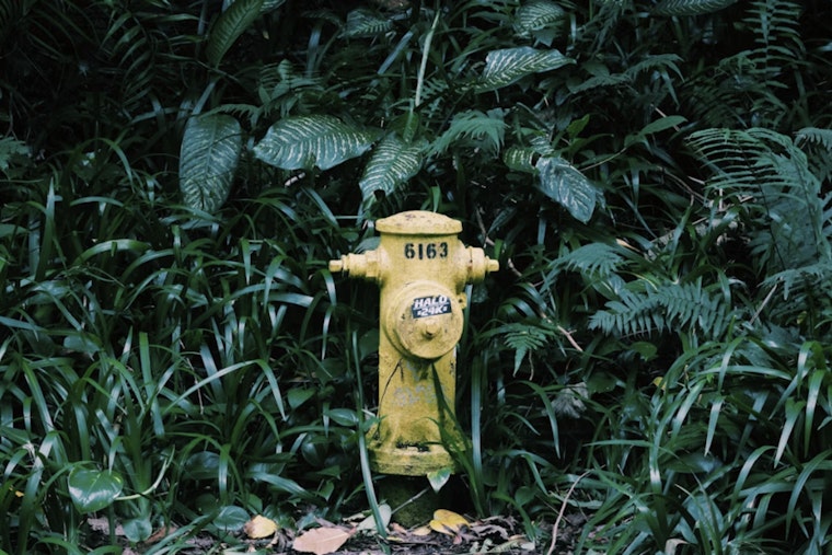 Alki Taps Run Brown As Hydrant Work Riles Beachfront Homes