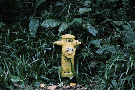 Alki Taps Run Brown As Hydrant Work Riles Beachfront Homes