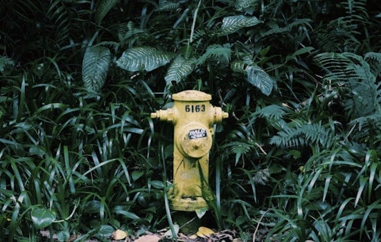 Alki Taps Run Brown As Hydrant Work Riles Beachfront Homes