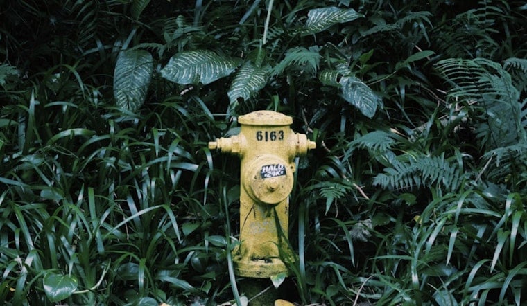 Alki Taps Run Brown As Hydrant Work Riles Beachfront Homes