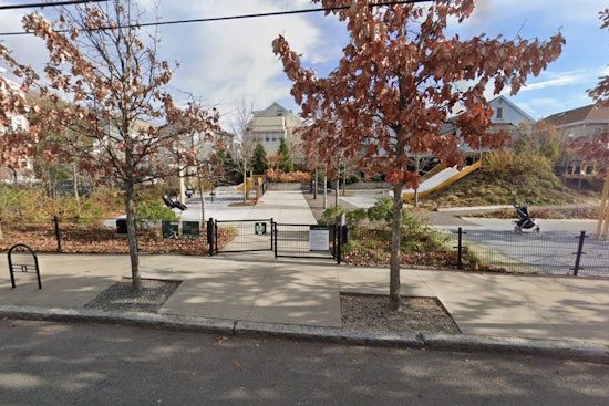 Alleged Bloody Bottle Brawl Rocks Chuckie Harris Park