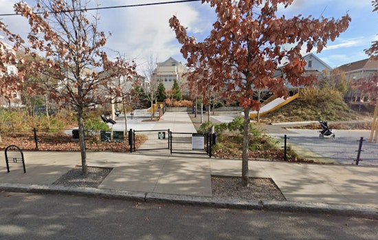 Alleged Bloody Bottle Brawl Rocks Chuckie Harris Park