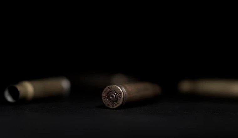 Stray Gunfire Turns Arlington Cul-De-Sac Into War Zone