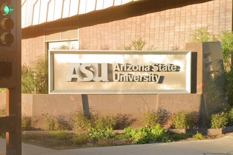 ASU Lab Ties Oxy Withdrawal To Brain Wiring Shake-Up In Mice