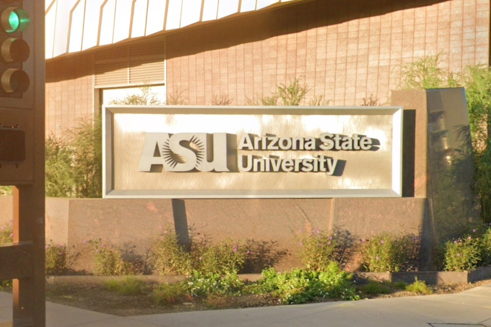 ASU Lab Ties Oxy Withdrawal To Brain Wiring Shake-Up In Mice