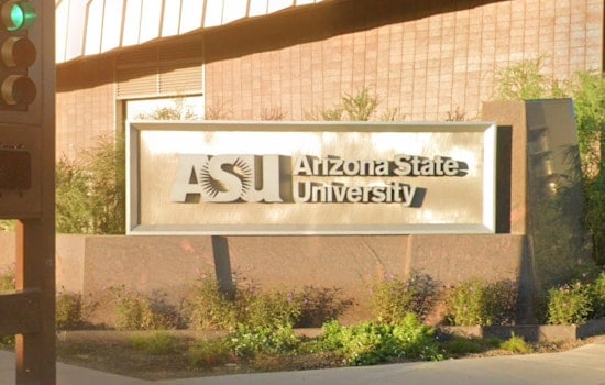 ASU Lab Ties Oxy Withdrawal To Brain Wiring Shake-Up In Mice
