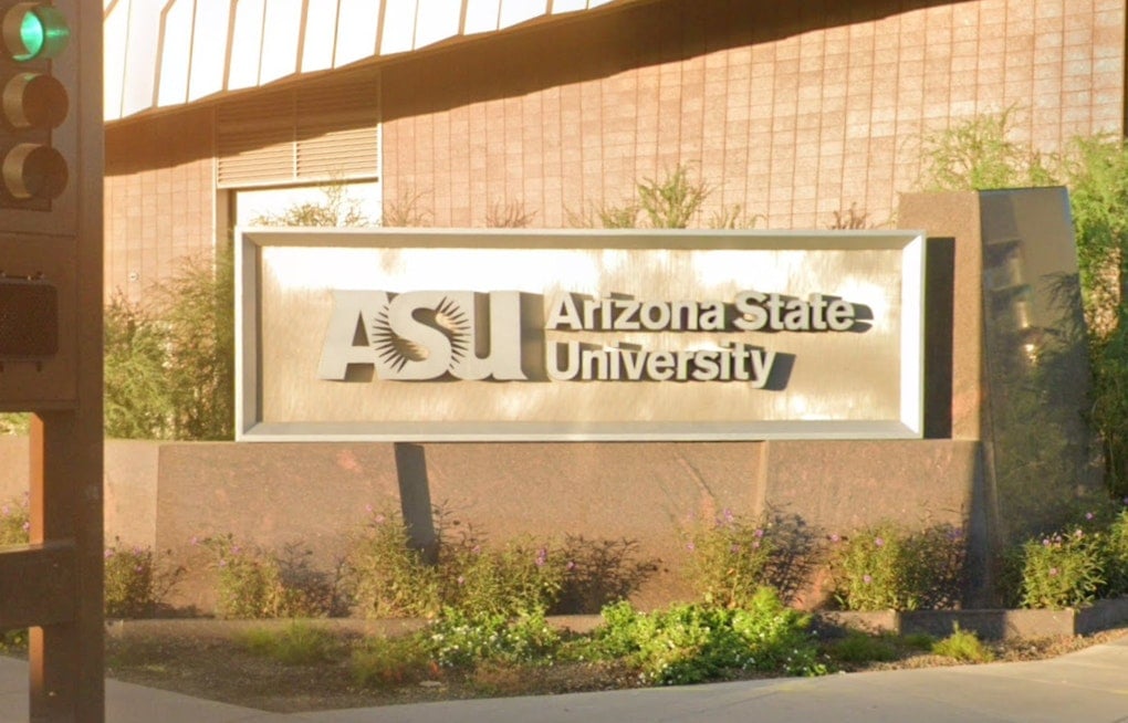 ASU Lab Ties Oxy Withdrawal To Brain Wiring Shake-Up In Mice