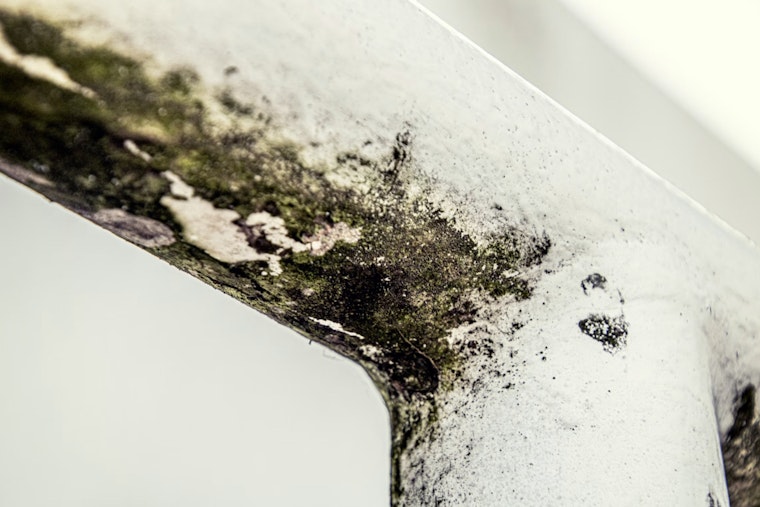 Atlanta Hospitals Expose The Hidden Toll Of Deadly Mold Infections