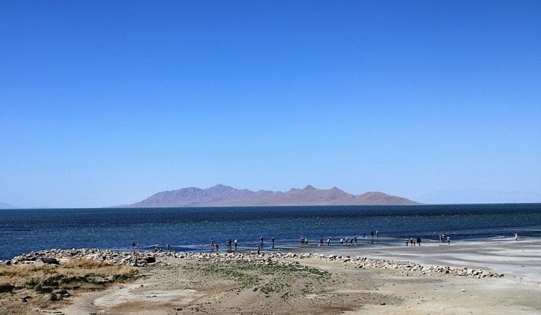 Audubon Sounds Alarm on Great Salt Lake Lifeline for 12 Million Birds