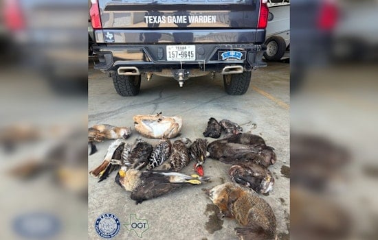 Austin Freezer Shock As Protected Birds, Gator Parts Trigger Wildlife Charges