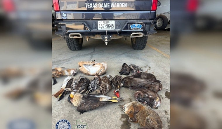 Austin Freezer Shock As Protected Birds, Gator Parts Trigger Wildlife Charges
