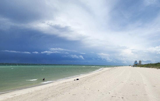 Bacteria Boom Turns Miami Beach Surf Into No‑Go Zone