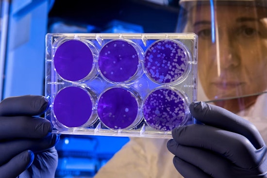 Bacteria Jitters At Tourmaline As Surfers Told To Avoid Drain Outlet