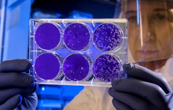 Bacteria Jitters At Tourmaline As Surfers Told To Avoid Drain Outlet