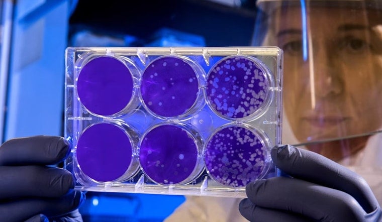 Bacteria Jitters At Tourmaline As Surfers Told To Avoid Drain Outlet