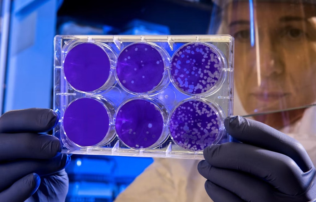 Bacteria Jitters At Tourmaline As Surfers Told To Avoid Drain Outlet