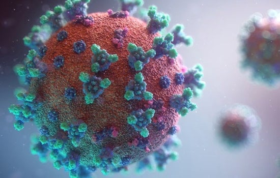 Bacteria Scare Hits San Elijo Lagoon, County Warns Cardiff Beachgoers