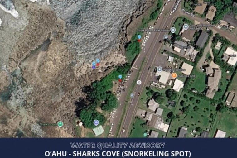Bacteria Scare Puts Sharks Cove Swimmers on the Sidelines