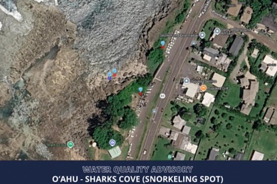 Bacteria Scare Puts Sharks Cove Swimmers on the Sidelines