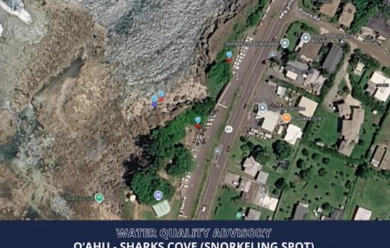 Bacteria Scare Puts Sharks Cove Swimmers on the Sidelines