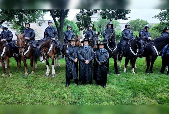 Barn Deadline Looms as Minneapolis Scrambles to Save Last Cops on Horseback