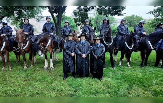 Barn Deadline Looms as Minneapolis Scrambles to Save Last Cops on Horseback