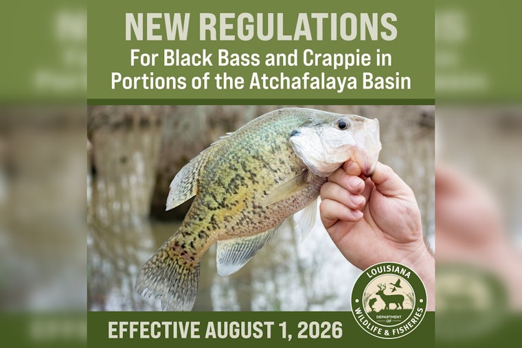Basin Buzz: Atchafalaya Anglers Hit With New August 1 Limits