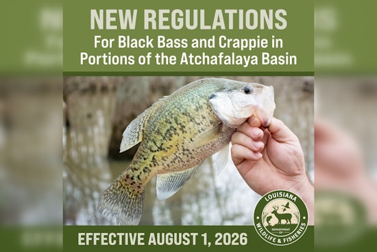 Basin Buzz: Atchafalaya Anglers Hit With New August 1 Limits