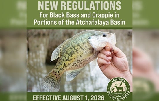 Basin Buzz: Atchafalaya Anglers Hit With New August 1 Limits