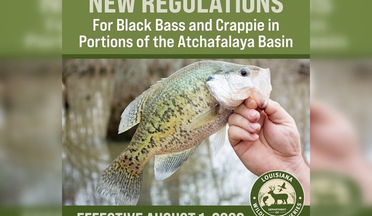 Basin Buzz: Atchafalaya Anglers Hit With New August 1 Limits