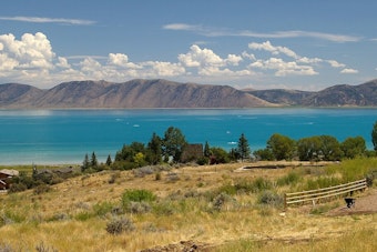 Bear Lake Horror: Tubing Crash Costs Woman Both Legs, Bystanders Save Her Life